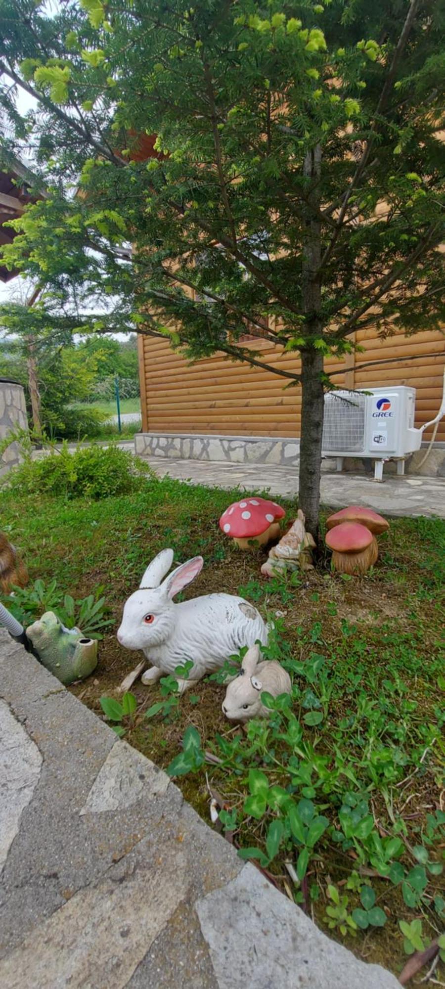 Mini Complex Rilski Terasi Sapareva Banya Εξωτερικό φωτογραφία